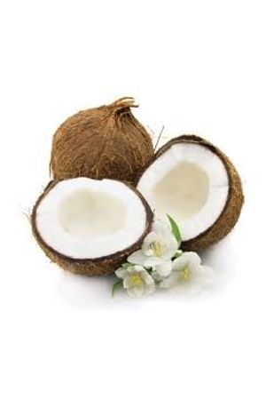 PRODUTO TESTE Fresh Coconuts